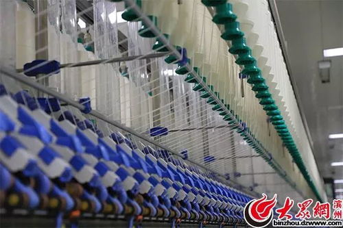 萬錠用工僅10人，魏橋紡織引領全球智能化變革驚艷網絡媒體